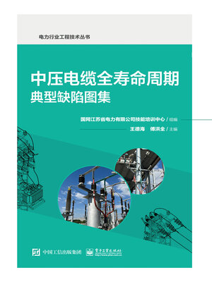 cover image of 中压电缆全寿命周期典型缺陷图集